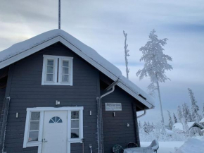 VILLA RIIHITONTTU MUURAME RIIHIVUORI Muurame